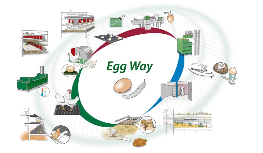 2021-Egg-Way