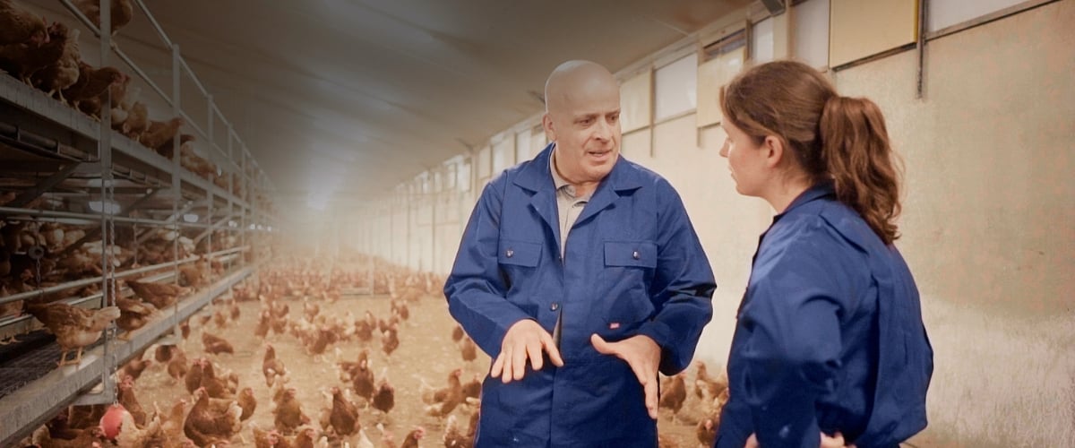 Cage-free vencomatic group