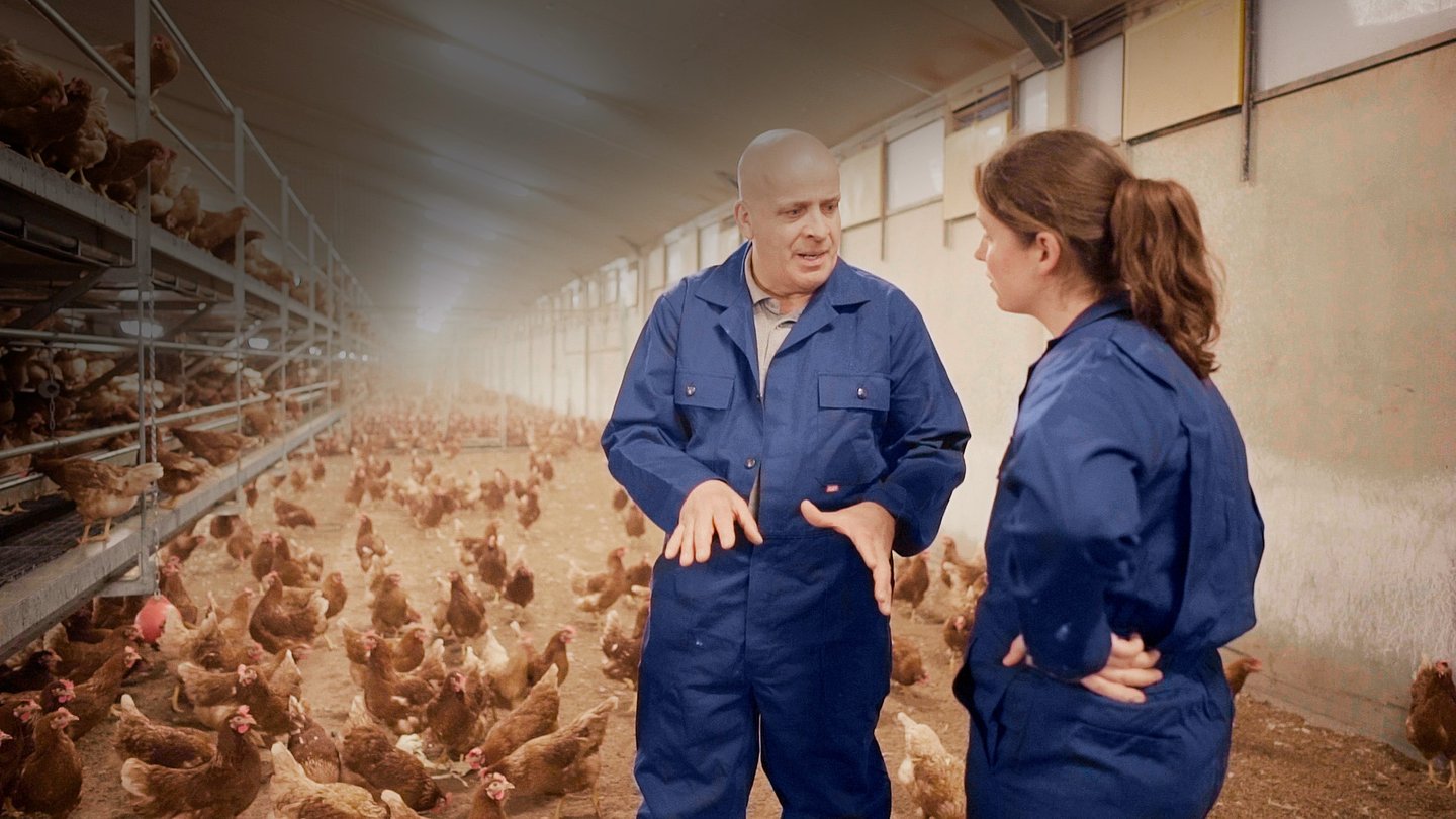 Poultry specialist (1) Vencomatic Group
