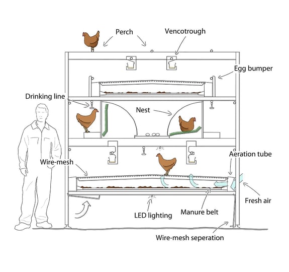 Bolegg-Terrace-Sidebelt-Nest-(drawing)