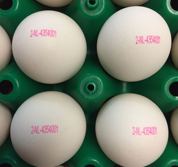 Egg-coding-Ovoprint-(3)