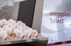 Meggsius Select Hatchery