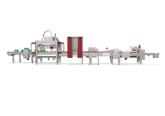 Prinzen Setter Line 80 (3)