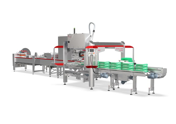 Prinzen Setter Line 80 (4)