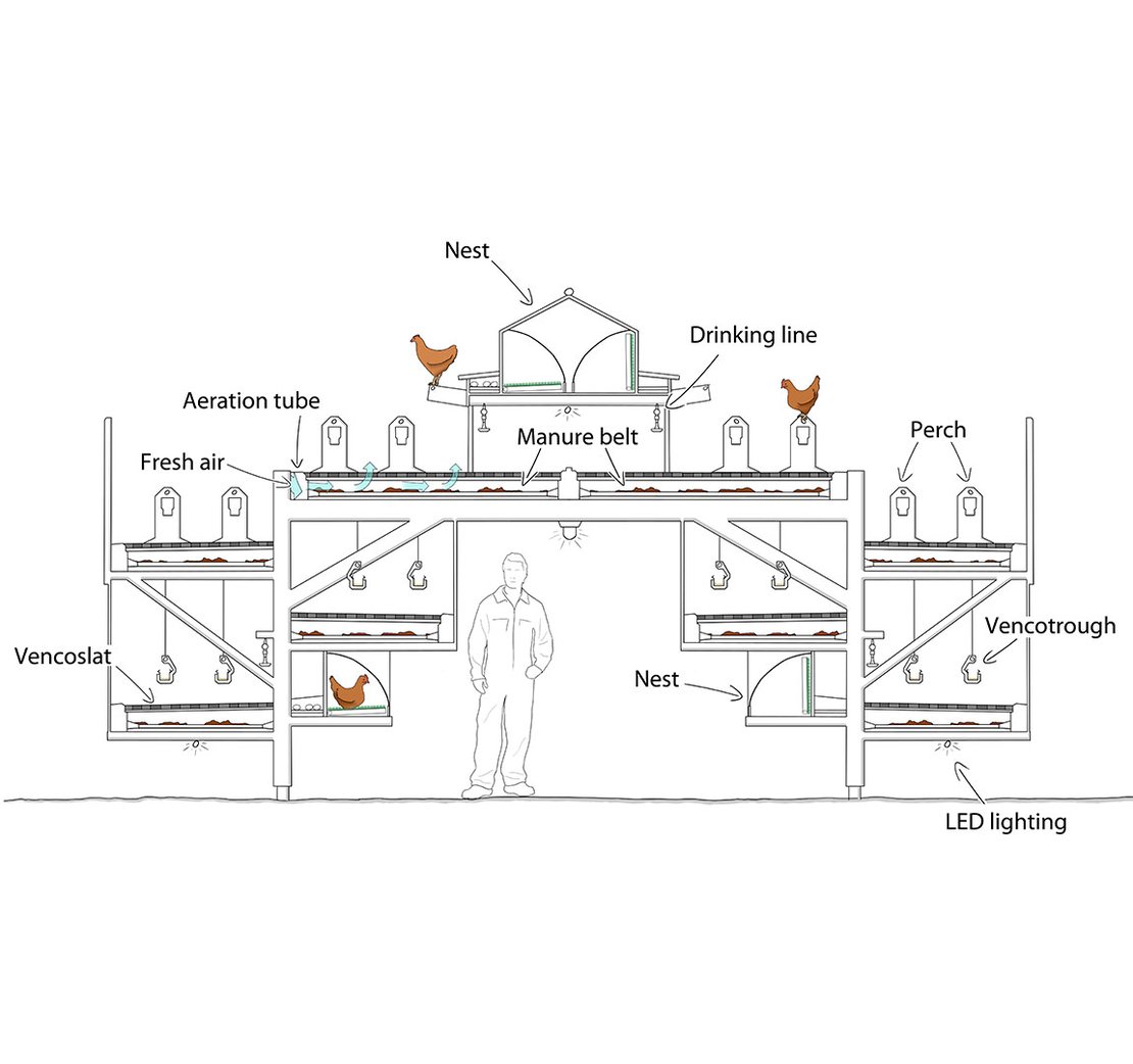 RED-L Aviario para gallinas ponedoras