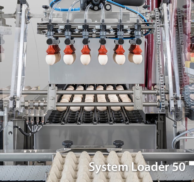 System-Loader-50