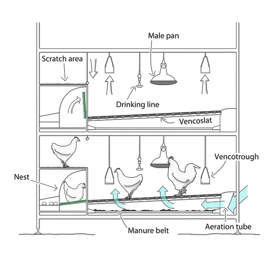 Veranda-Breeder-drawing