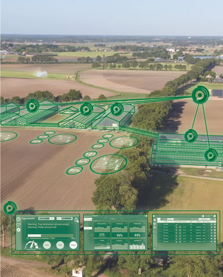 Meggsius- automatización granjas avícolas