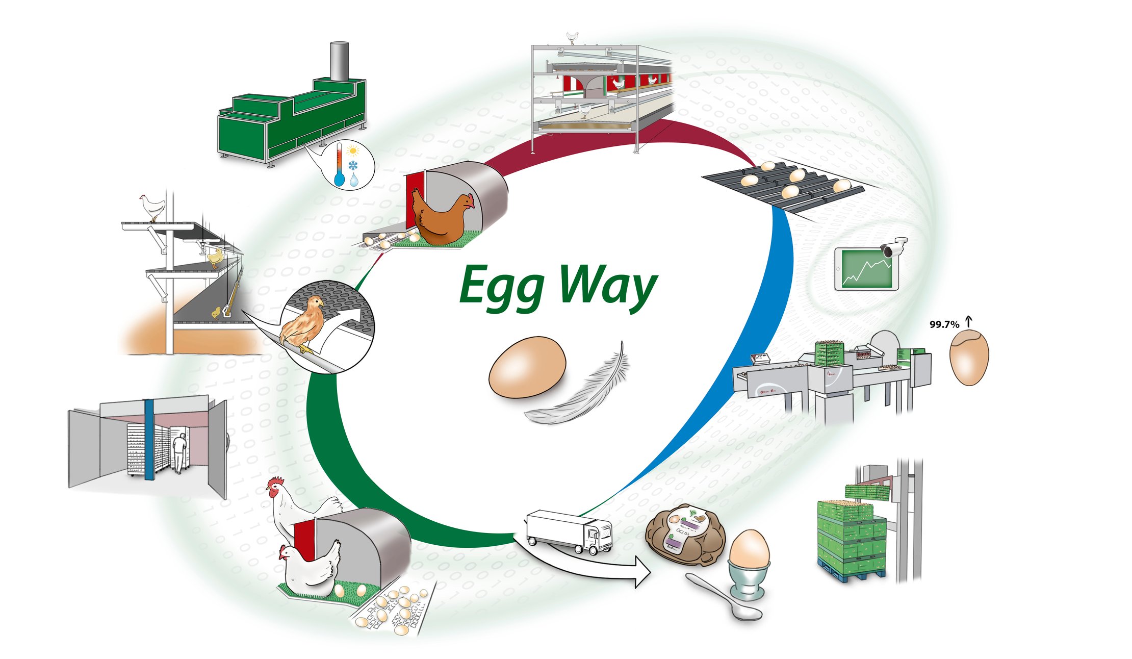 Egg-Way-Egg-production