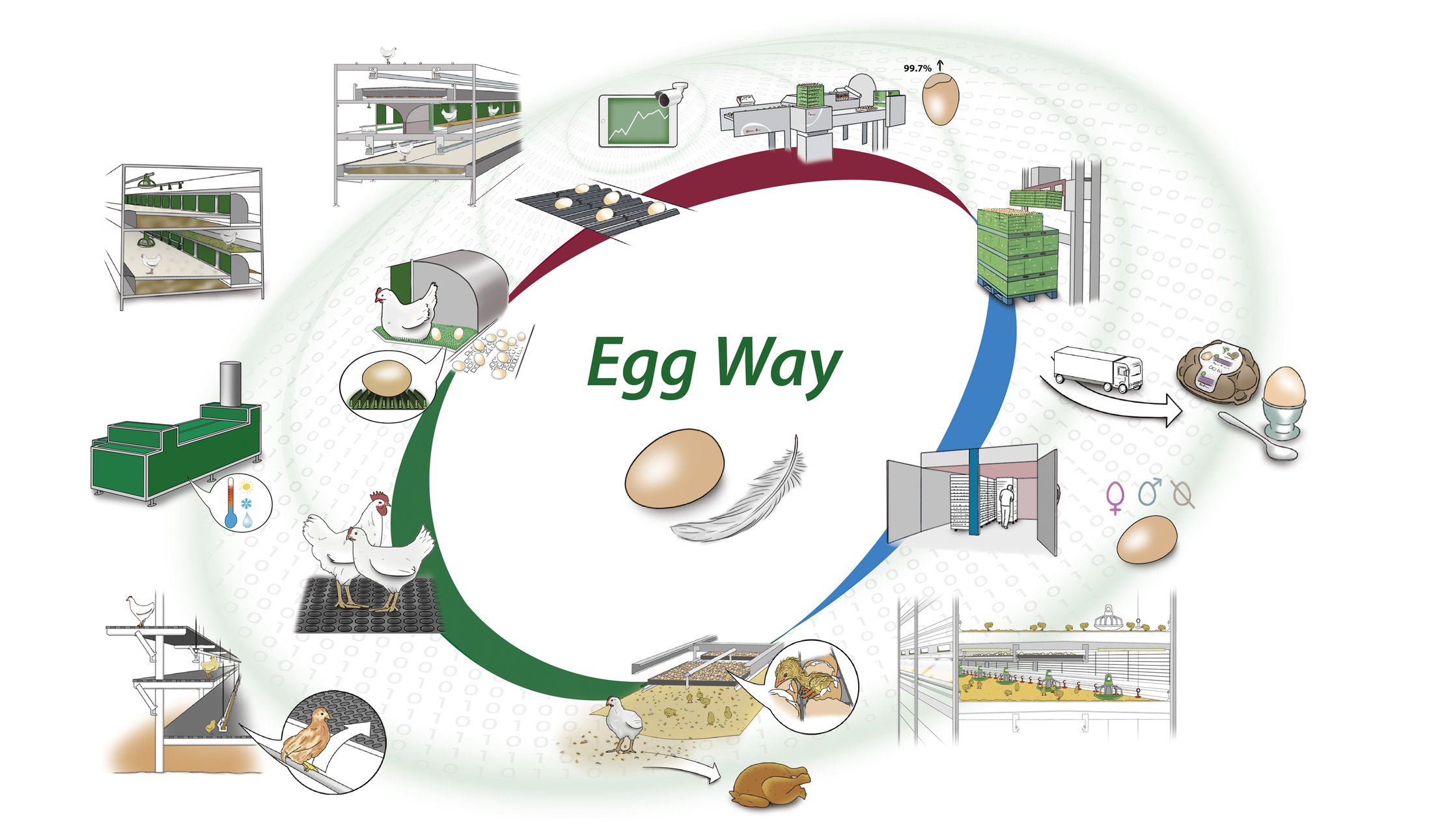 Egg-Way