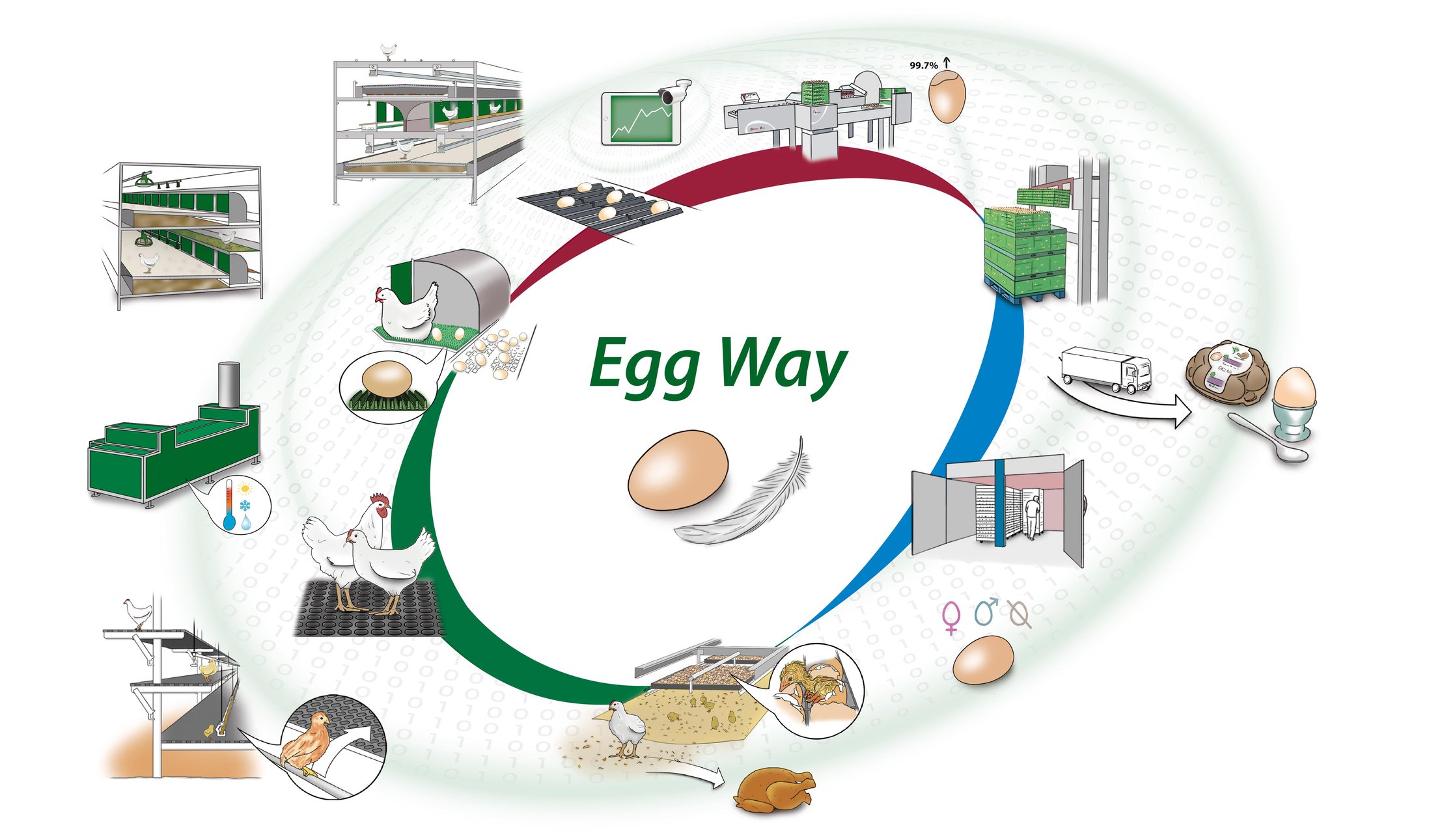 Egg-Way