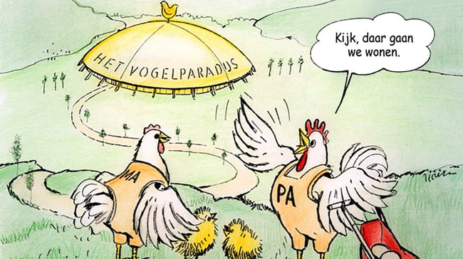Cartoon-The-Bird-Paradise-NL