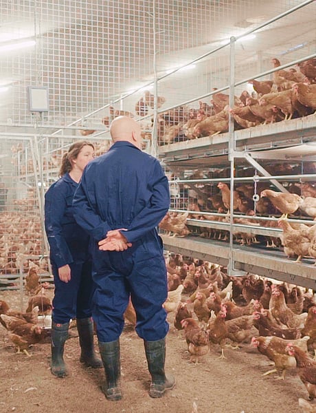 Poultry-specialists-2-2