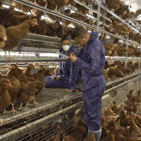 Vacature Onderzoeker - Vencomatic Group