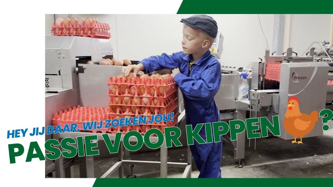 Vacature Rondeel bedrijfsleider