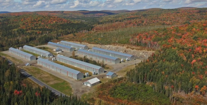 Farm Westco Group