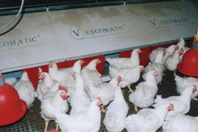 1987  Introduction Roll away nest for hens timeline-1