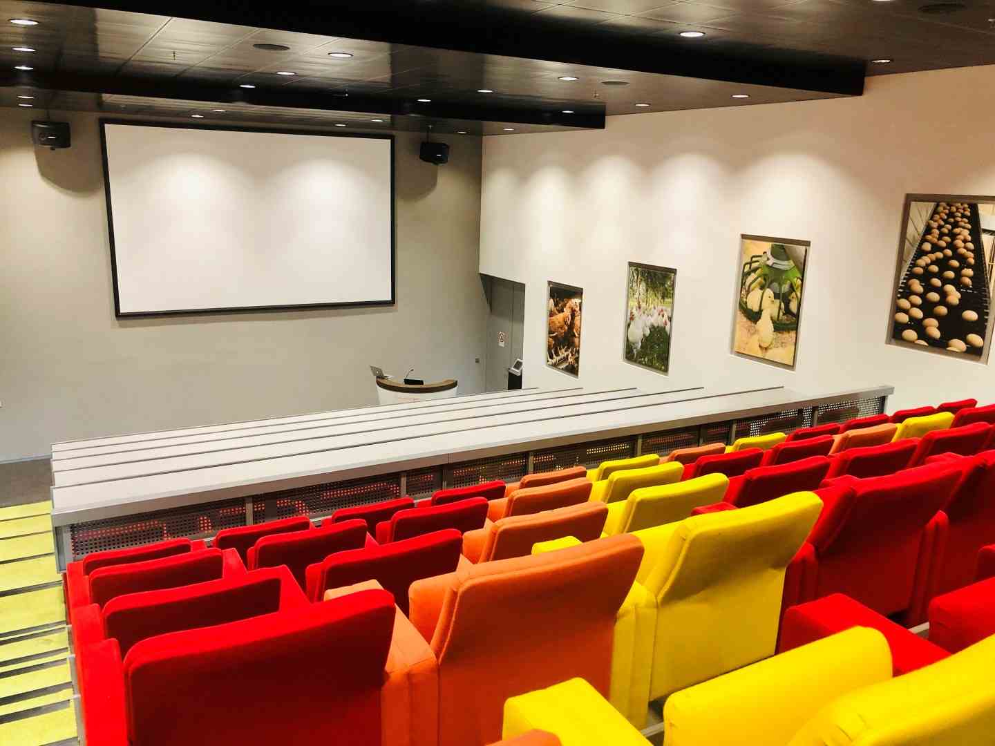 Auditorium