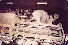 introduction-autom-collection